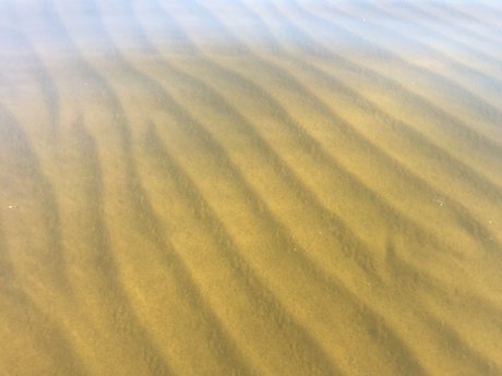 Nina NorthStar hot star img