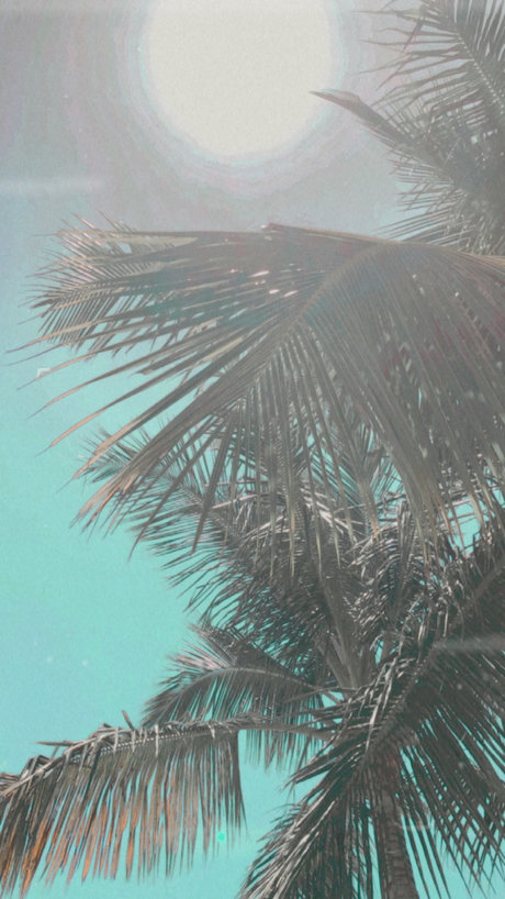 ninaalexander17 model naked pics