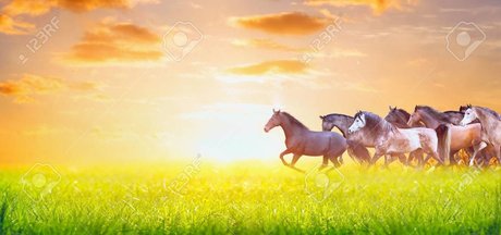 BabesWhoEat model xxx gallery