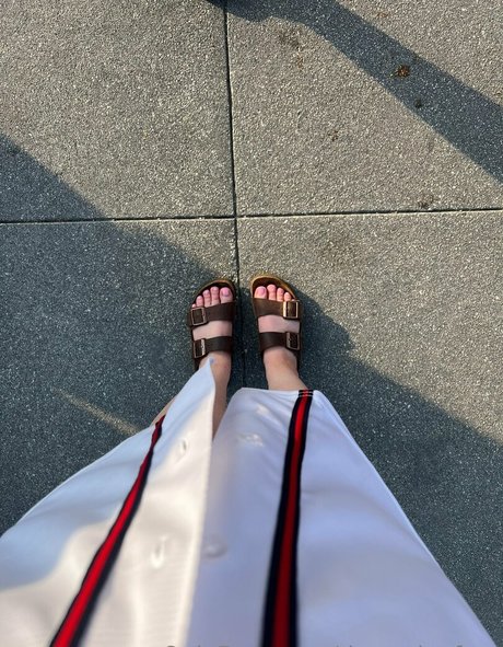 dezzydoefree star hd archive