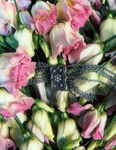 sisuuz star beautiful photo