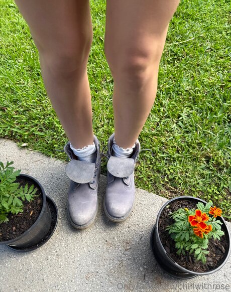 chillwithrose star porn photos