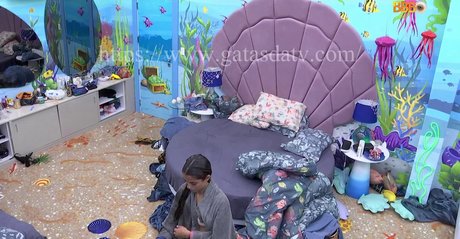 Big Brother Brasil 23 porn model images