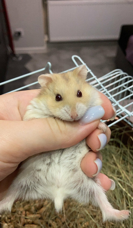 moon less art model pics