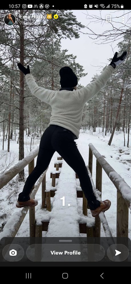 Erna Husko pornographic actress picture