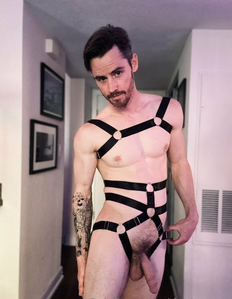 danbenson free star archive