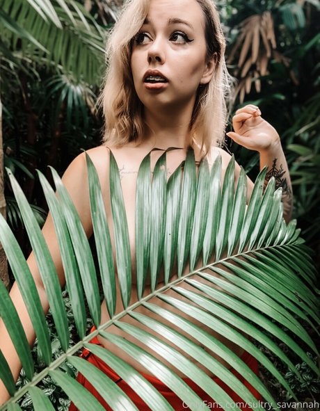 waverlyluxe top actress pictures