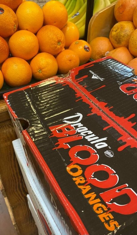 kellynakatomi model nudes pics