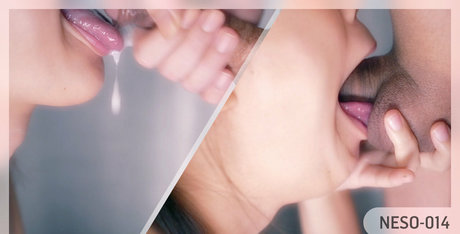 nesox star pretty galleries