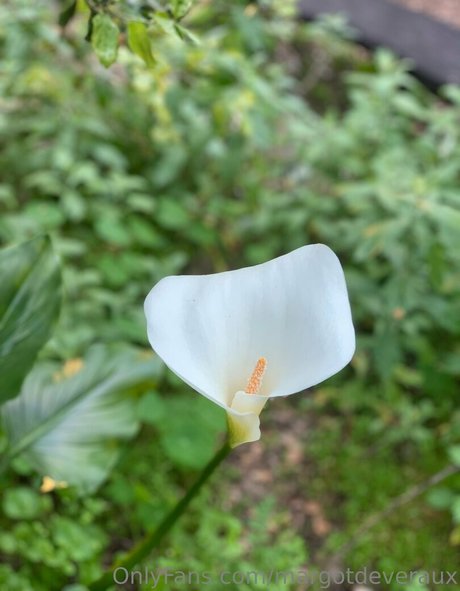 margotdeveraux best actress pics