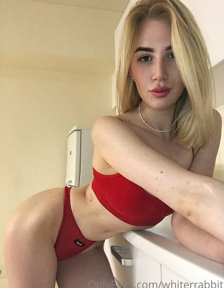 whiterrabbit pornstar sexy picture