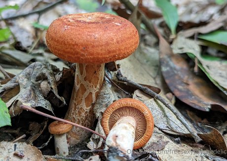 freesexypsychedelic model free photo