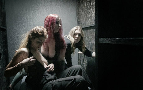 pervertmilan star free image