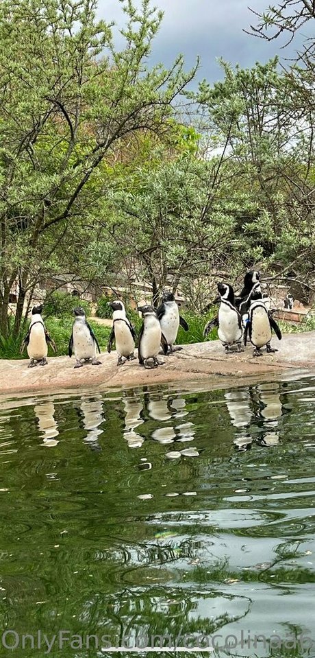 cocolinaa69 pornstar xxx photos