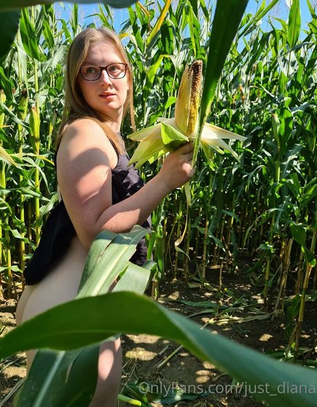 just diana pornstar hd galleries