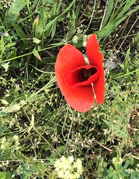 femdomyou beautiful star photos