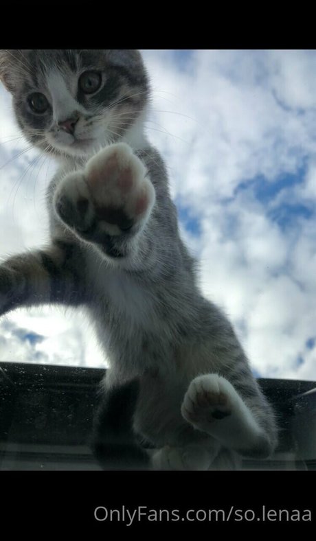 so lenaa pornstar nice images