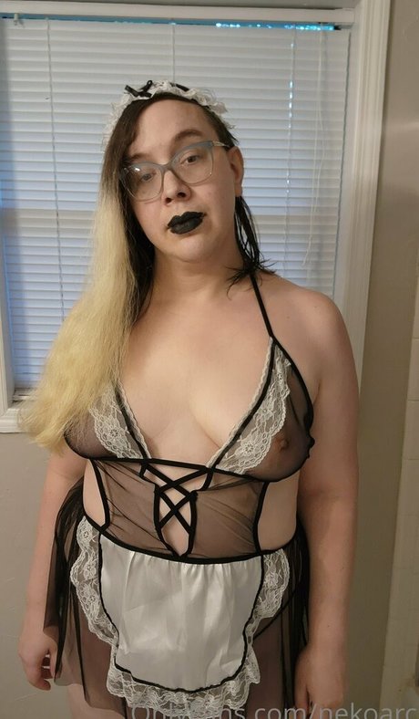 nekoarc model best img