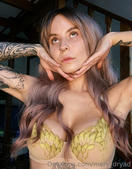 deli eva star art img