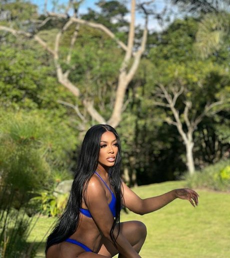 Porsha Williams erotic model photo