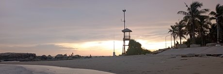 MoChubby top star gallery