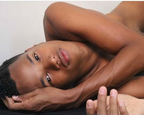 novinho salvador porn star pictures