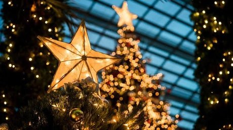 TupincheDiosa exclusive actress image