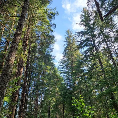 Armand William star beautiful pic