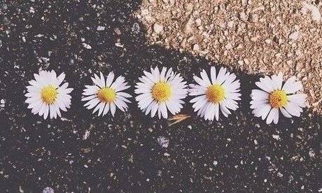 Arisaly Ortiz pornstar top pic