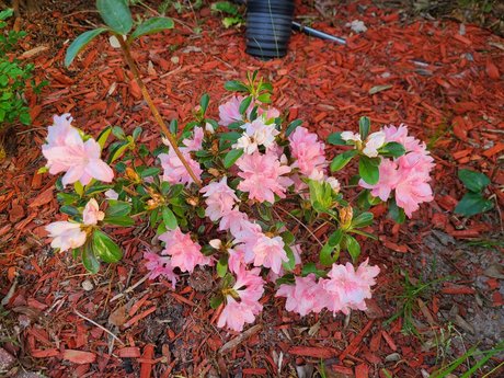 _Inactive_ hd pornstar gallery