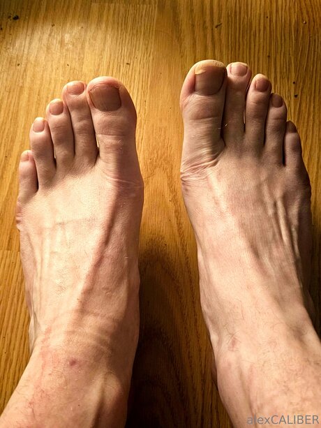 Alex Caliber porn star images