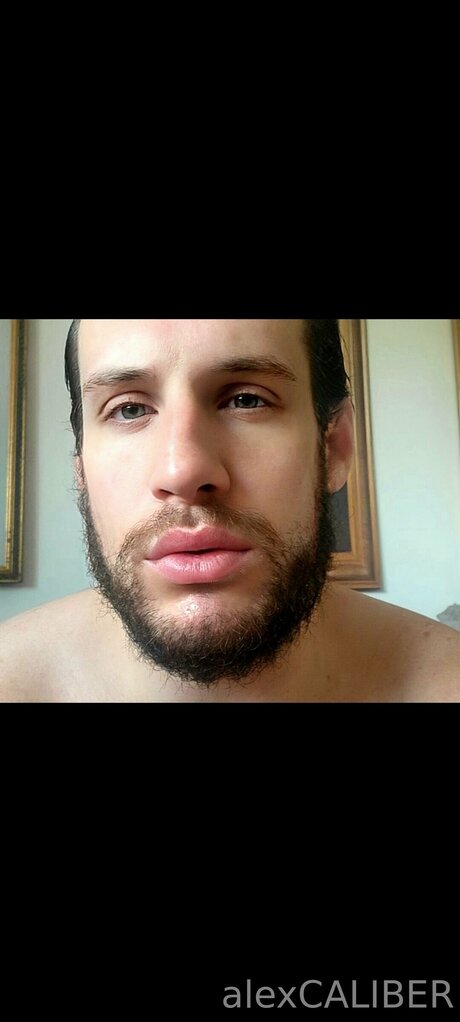 Alex Caliber Quick model image