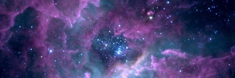 Charlie Nolan free star pic