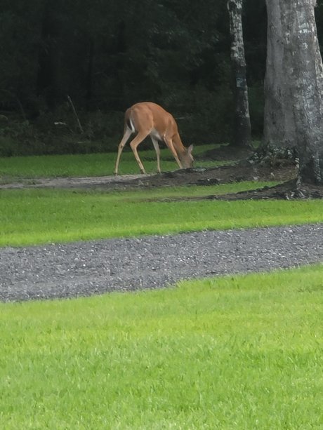 New start star sexy pictures