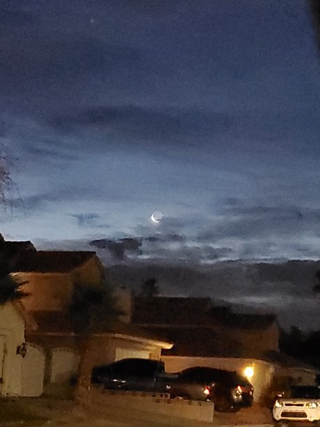 60minuteman model adult photos