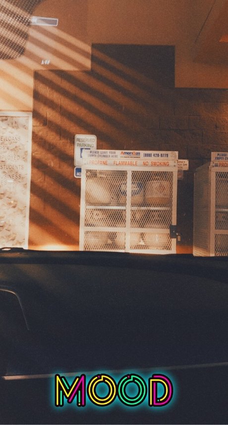 Blake Drews pornographic actress pictures