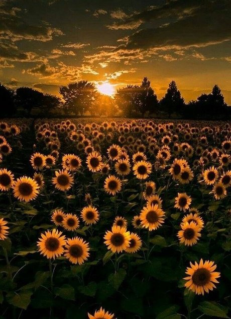 OhIThinkYouLikeMe model pornographic img