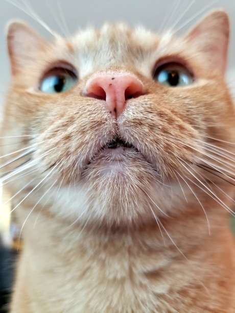 onlytabs porn actress images