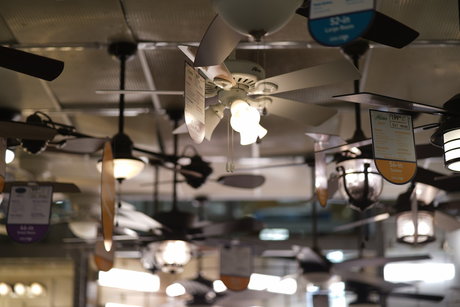 Austin Zeli pornstar art pictures