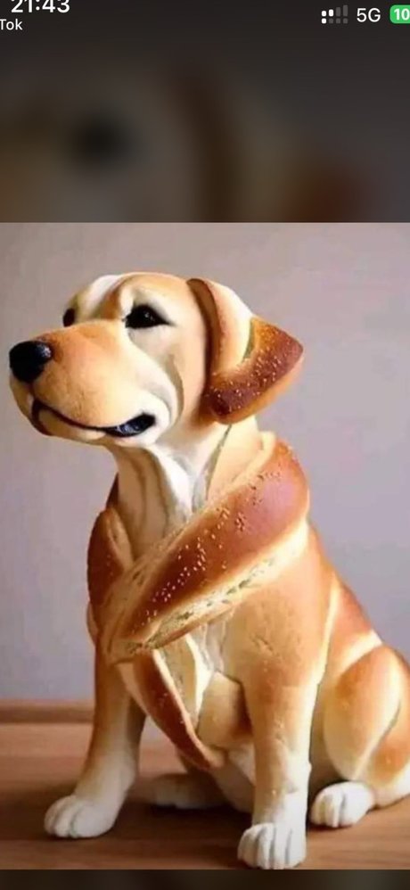 Only pornstar sexy img