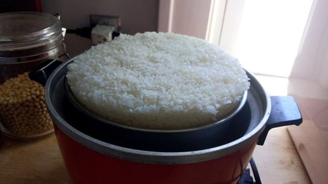 OnlyFeesh high quality pornstar pic