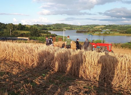 OnlyFarms pornstar nice pic