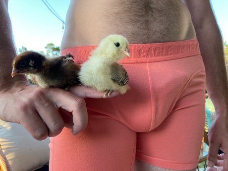 Only Chicken Fans pornstar sexy pics