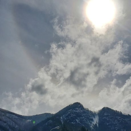 LilloneWolfy model top archive