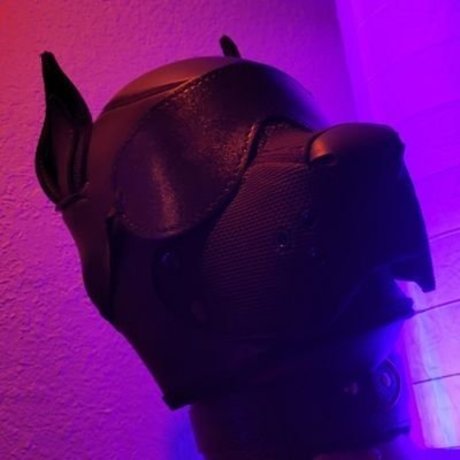 OneStretchyPup model porn pic