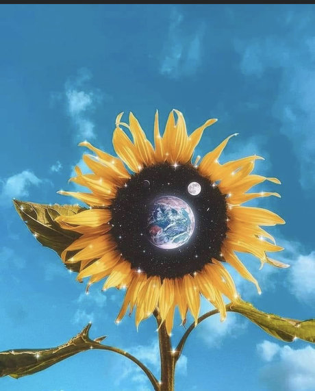 NakedArt best actress gallery