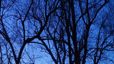 abiiighoul star best image