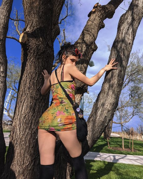 AcaciaThorn pornstar xxx picture