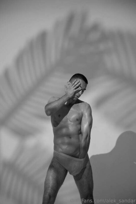 Alek Sandar pornstar sex pictures