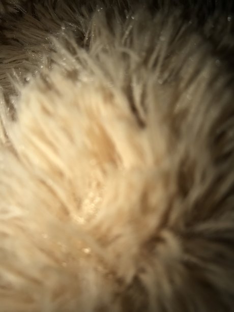 Dany9111 sexy star pics